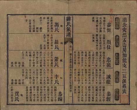 湖南[蒋姓] 蒋氏族谱 — 清光绪11年（1885）_二十一.pdf