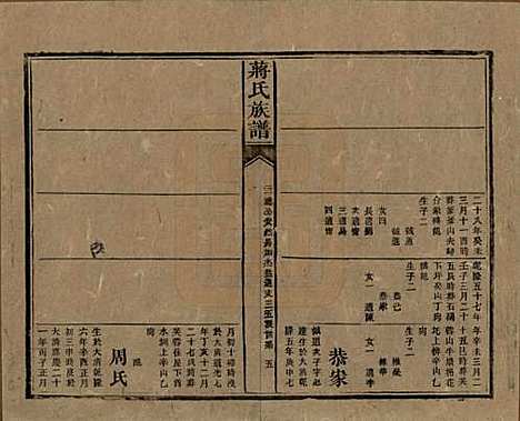 湖南[蒋姓] 蒋氏族谱 — 清光绪11年（1885）_二十二.pdf