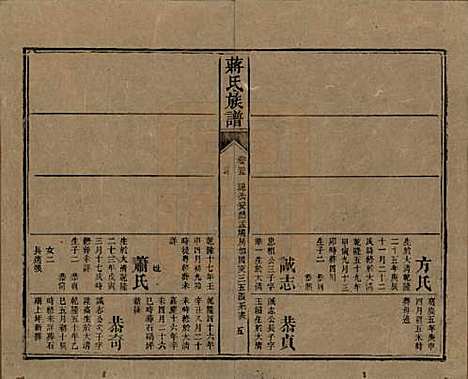 湖南[蒋姓] 蒋氏族谱 — 清光绪11年（1885）_二十五.pdf