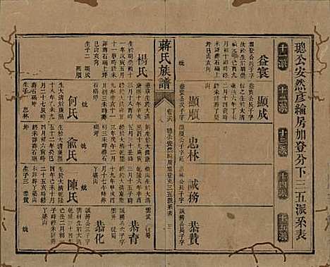 湖南[蒋姓] 蒋氏族谱 — 清光绪11年（1885）_二十六.pdf