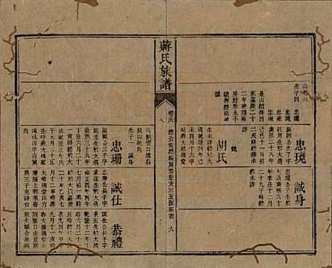 湖南[蒋姓] 蒋氏族谱 — 清光绪11年（1885）_二十六.pdf