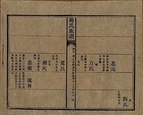 湖南[蒋姓] 蒋氏族谱 — 清光绪11年（1885）_二十七.pdf