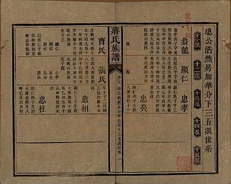 湖南[蒋姓] 蒋氏族谱 — 清光绪11年（1885）_二十九.pdf