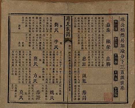 湖南[蒋姓] 蒋氏族谱 — 清光绪11年（1885）_三十.pdf