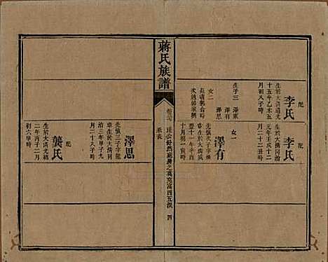 湖南[蒋姓] 蒋氏族谱 — 清光绪11年（1885）_三十七.pdf