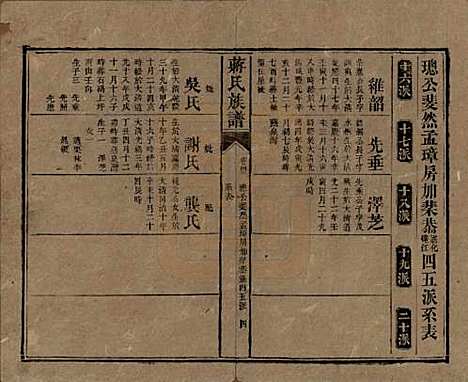 湖南[蒋姓] 蒋氏族谱 — 清光绪11年（1885）_四十三.pdf