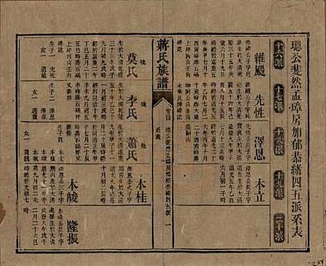 湖南[蒋姓] 蒋氏族谱 — 清光绪11年（1885）_四十四.pdf