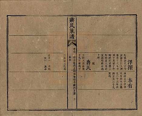 湖南[蒋姓] 蒋氏族谱 — 清光绪11年（1885）_四十四.pdf