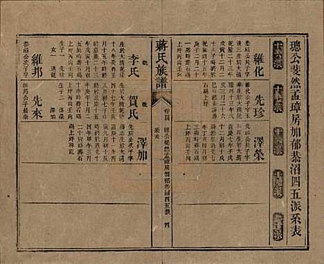 湖南[蒋姓] 蒋氏族谱 — 清光绪11年（1885）_四十四.pdf