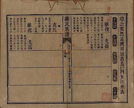 湖南[蒋姓] 蒋氏族谱 — 清光绪11年（1885）_四十五.pdf