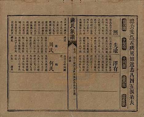 湖南[蒋姓] 蒋氏族谱 — 清光绪11年（1885）_四十六.pdf