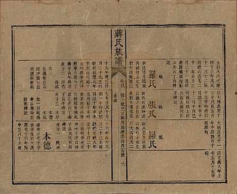 湖南[蒋姓] 蒋氏族谱 — 清光绪11年（1885）_四十六.pdf