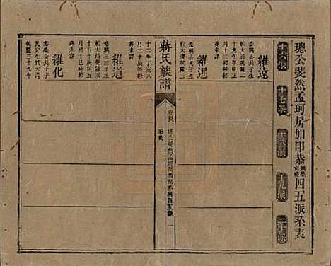 湖南[蒋姓] 蒋氏族谱 — 清光绪11年（1885）_四十八.pdf