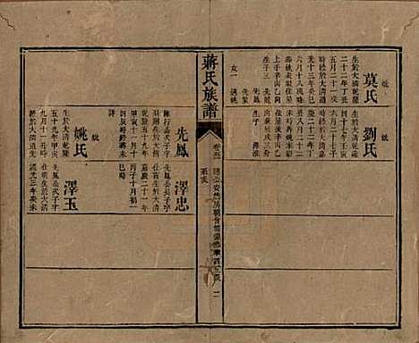 湖南[蒋姓] 蒋氏族谱 — 清光绪11年（1885）_五十二.pdf