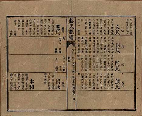 湖南[蒋姓] 蒋氏族谱 — 清光绪11年（1885）_五十五.pdf