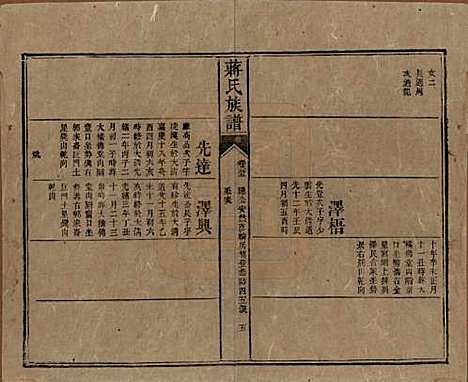 湖南[蒋姓] 蒋氏族谱 — 清光绪11年（1885）_五十五.pdf