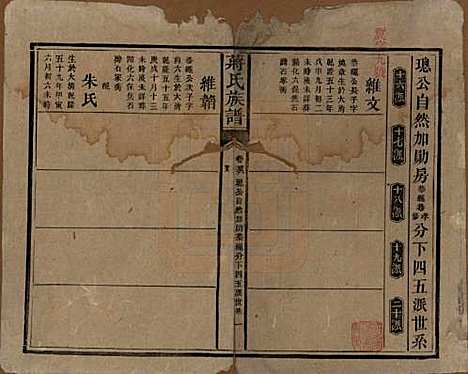 湖南[蒋姓] 蒋氏族谱 — 清光绪11年（1885）_五十六.pdf