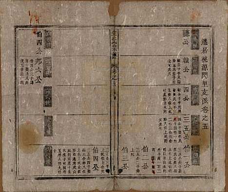 安徽[金姓] 金氏宗谱六卷 — 清光绪八年（1882）_五.pdf