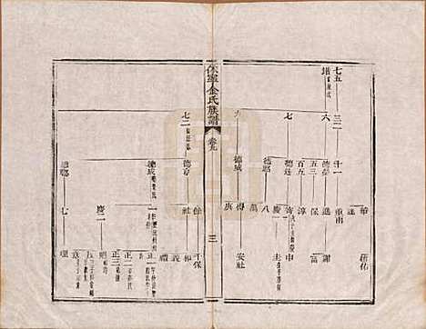 安徽[金姓] 休宁金氏族谱二十六卷 — 清乾隆十三年（1748）_九.pdf