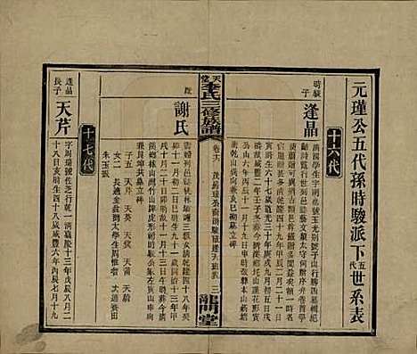 湖南[李姓] 天堂李氏三修族谱 — 民国35年（1946）_十六.pdf