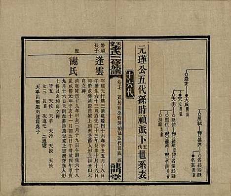 湖南[李姓] 天堂李氏三修族谱 — 民国35年（1946）_十七.pdf