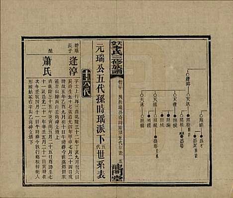 湖南[李姓] 天堂李氏三修族谱 — 民国35年（1946）_二十.pdf