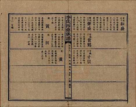 湖南[李姓] 李氏四修族谱 — 民国5年（1916）_五十九.pdf