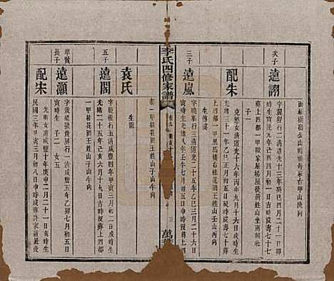 湖南[李姓] 湘潭神冲李氏四修家谱 — 民国8年[1919]_九.pdf