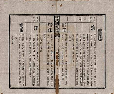 湖南[李姓] 湘潭神冲李氏四修家谱 — 民国8年[1919]_十二.pdf