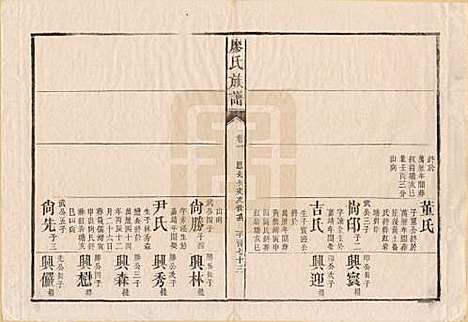 湖南[廖姓] 廖氏族谱 — 清同治5年（1866）_九.pdf