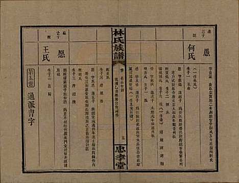 湖南[林姓] 林氏族谱三十一卷 — 民国十五年(1926)_二.pdf