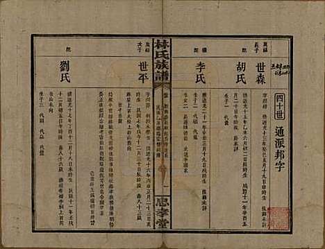 湖南[林姓] 林氏族谱三十一卷 — 民国十五年(1926)_五.pdf