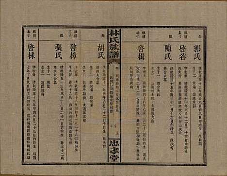 湖南[林姓] 林氏族谱三十一卷 — 民国十五年(1926)_六.pdf