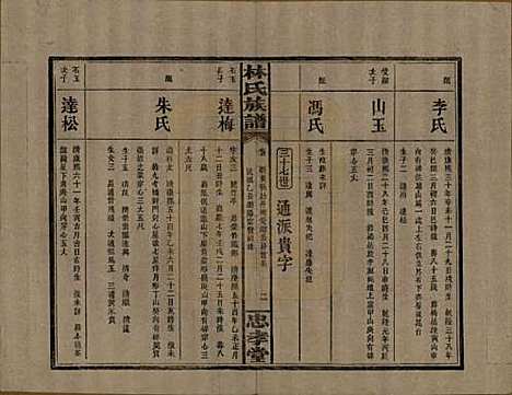 湖南[林姓] 林氏族谱三十一卷 — 民国十五年(1926)_七.pdf