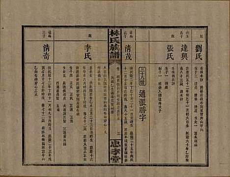 湖南[林姓] 林氏族谱三十一卷 — 民国十五年(1926)_七.pdf