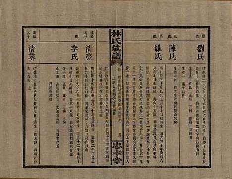 湖南[林姓] 林氏族谱三十一卷 — 民国十五年(1926)_七.pdf