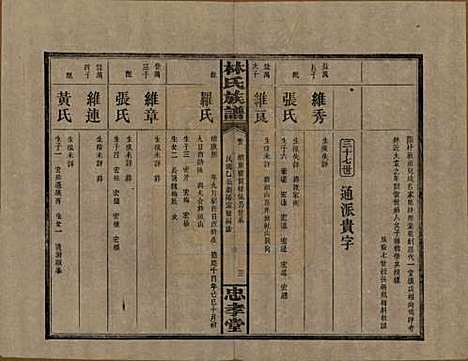 湖南[林姓] 林氏族谱三十一卷 — 民国十五年(1926)_八.pdf