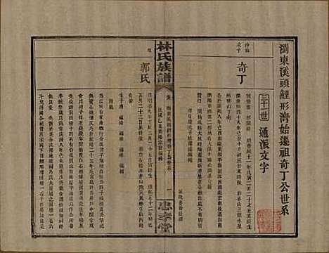 湖南[林姓] 林氏族谱三十一卷 — 民国十五年(1926)_九.pdf