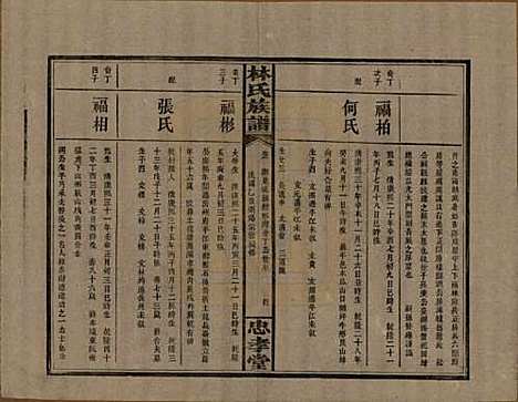 湖南[林姓] 林氏族谱三十一卷 — 民国十五年(1926)_九.pdf