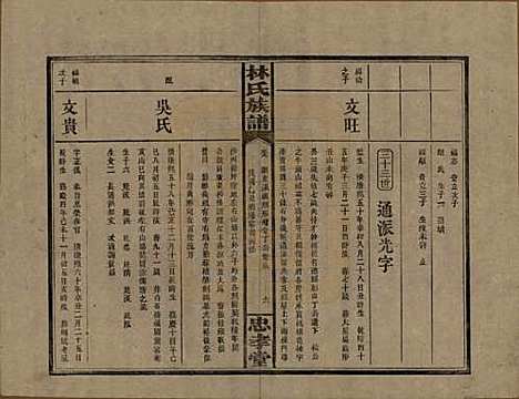 湖南[林姓] 林氏族谱三十一卷 — 民国十五年(1926)_九.pdf