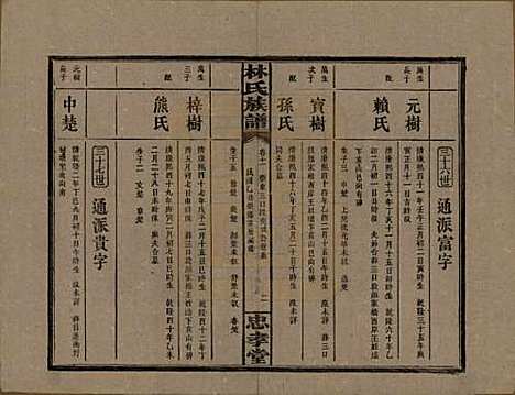 湖南[林姓] 林氏族谱三十一卷 — 民国十五年(1926)_十一.pdf