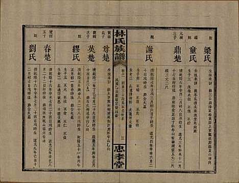 湖南[林姓] 林氏族谱三十一卷 — 民国十五年(1926)_十一.pdf