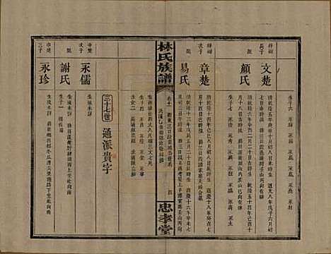 湖南[林姓] 林氏族谱三十一卷 — 民国十五年(1926)_十一.pdf