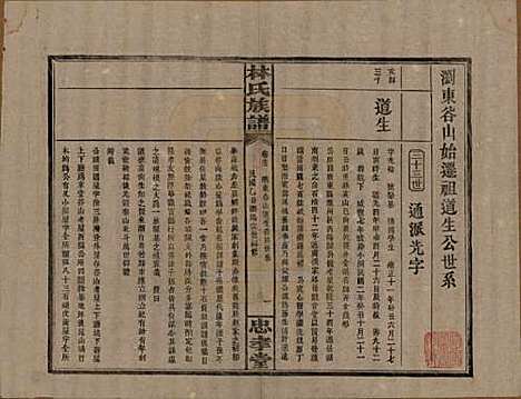 湖南[林姓] 林氏族谱三十一卷 — 民国十五年(1926)_十三.pdf