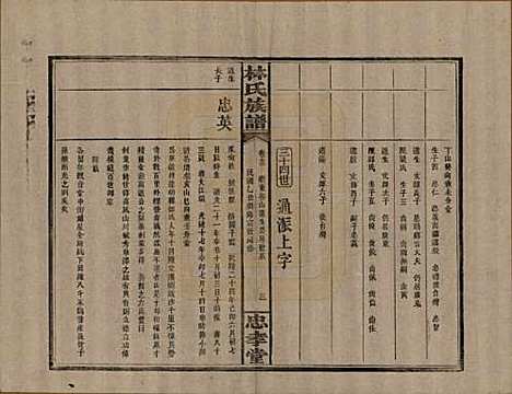 湖南[林姓] 林氏族谱三十一卷 — 民国十五年(1926)_十三.pdf