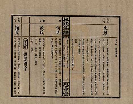 湖南[林姓] 林氏族谱三十一卷 — 民国十五年(1926)_十三.pdf