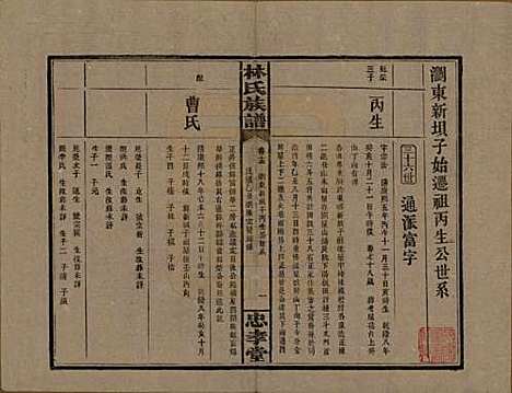 湖南[林姓] 林氏族谱三十一卷 — 民国十五年(1926)_十五.pdf