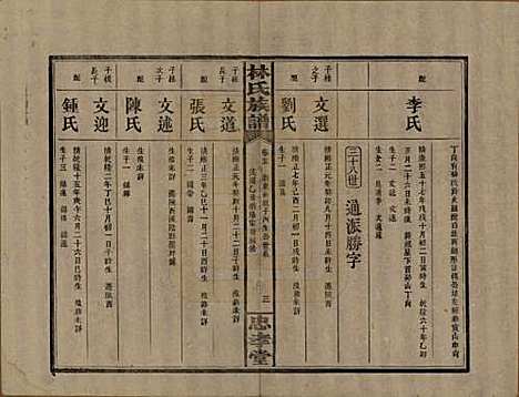 湖南[林姓] 林氏族谱三十一卷 — 民国十五年(1926)_十五.pdf