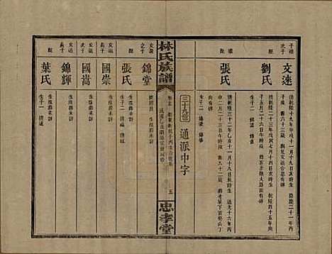 湖南[林姓] 林氏族谱三十一卷 — 民国十五年(1926)_十五.pdf