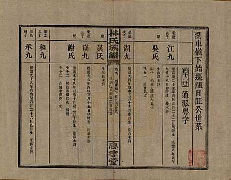 湖南[林姓] 林氏族谱三十一卷 — 民国十五年(1926)_十六.pdf